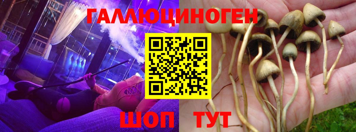 Галлюциногенные грибы мицелий Донской